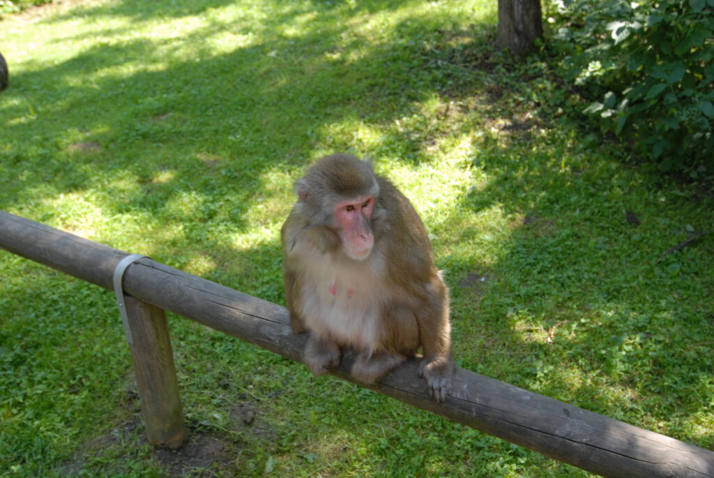Ausflugsziele Wörthersee