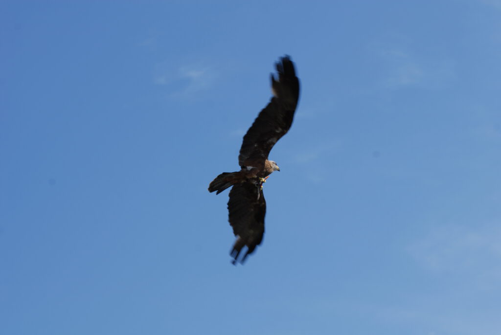 Ausflugsziele Wörthersee