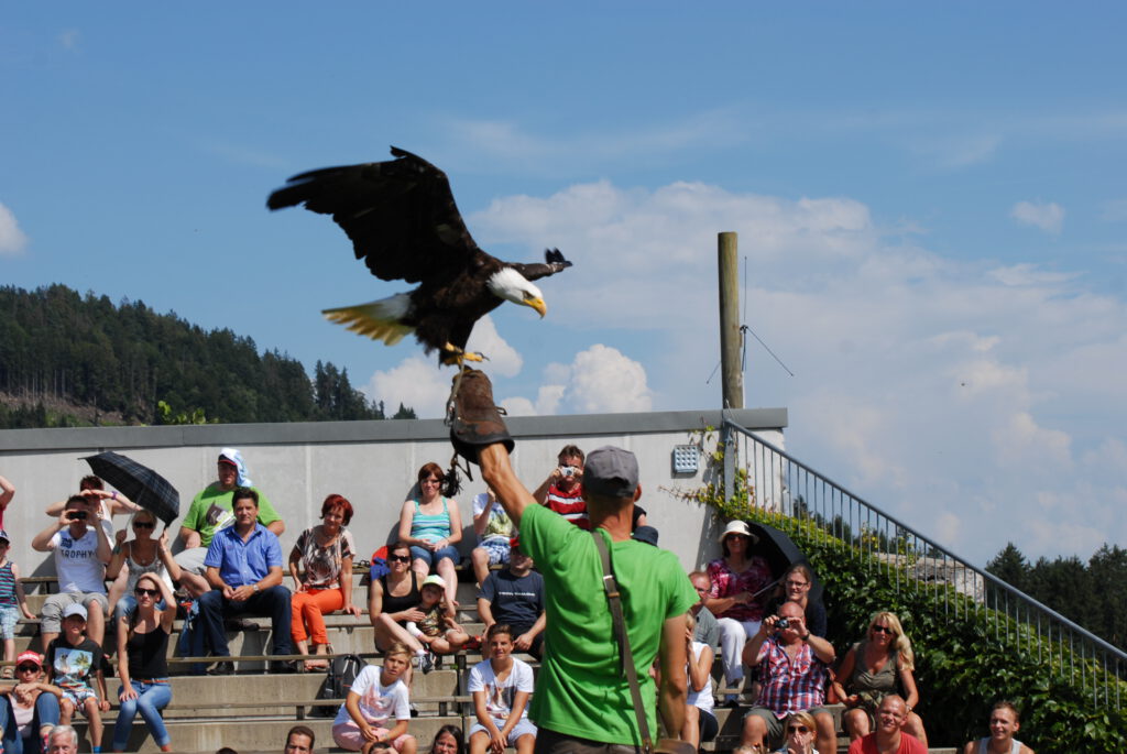 Ausflugsziele Wörthersee