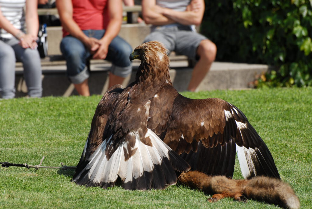 Ausflugsziele Wörthersee