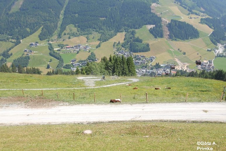 Gartenhotel Theresia