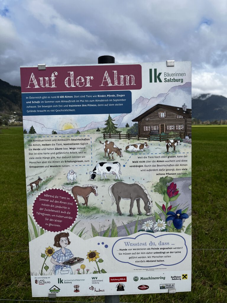 Tauern Spa Kaprun: Wo Entspannung den Sternenhimmel küsst 20
