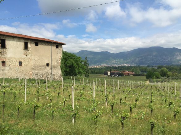 Franciacorta