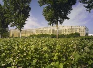 Piper-Heidsieck, Monsieur Claude und der Winterchampagner 14 Piper-Heidsieck