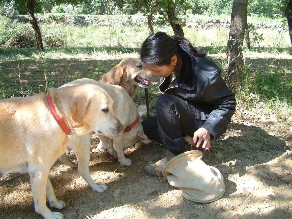 Tricastin: Ein Land für Entdecker 27 tricastin bettina haase 06_-drome-trueffelhunde