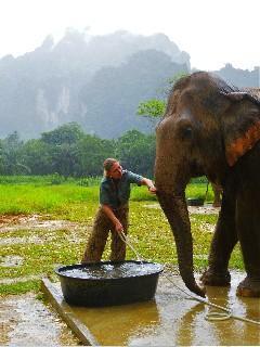 Elephant Hills Thailand Anke Sieker