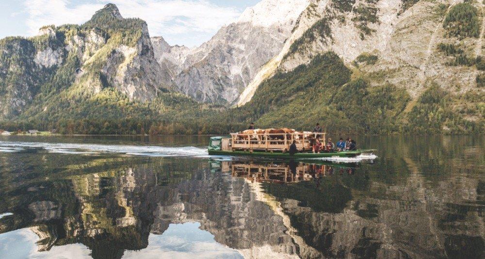 Buchtipp: Wenn die Sehnsucht Alm zur Endstation Sehnsucht wird 10 Sehnsucht Alm Karin Lochner Peter von Felbert 02