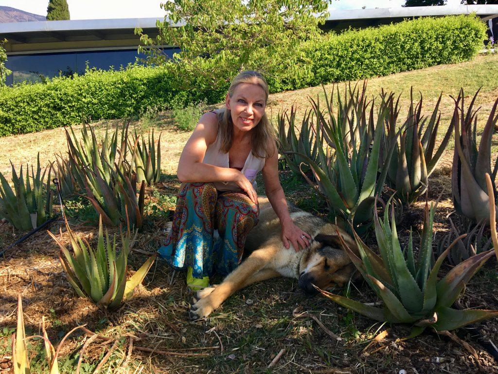 Aloe Vera Anke Sieker