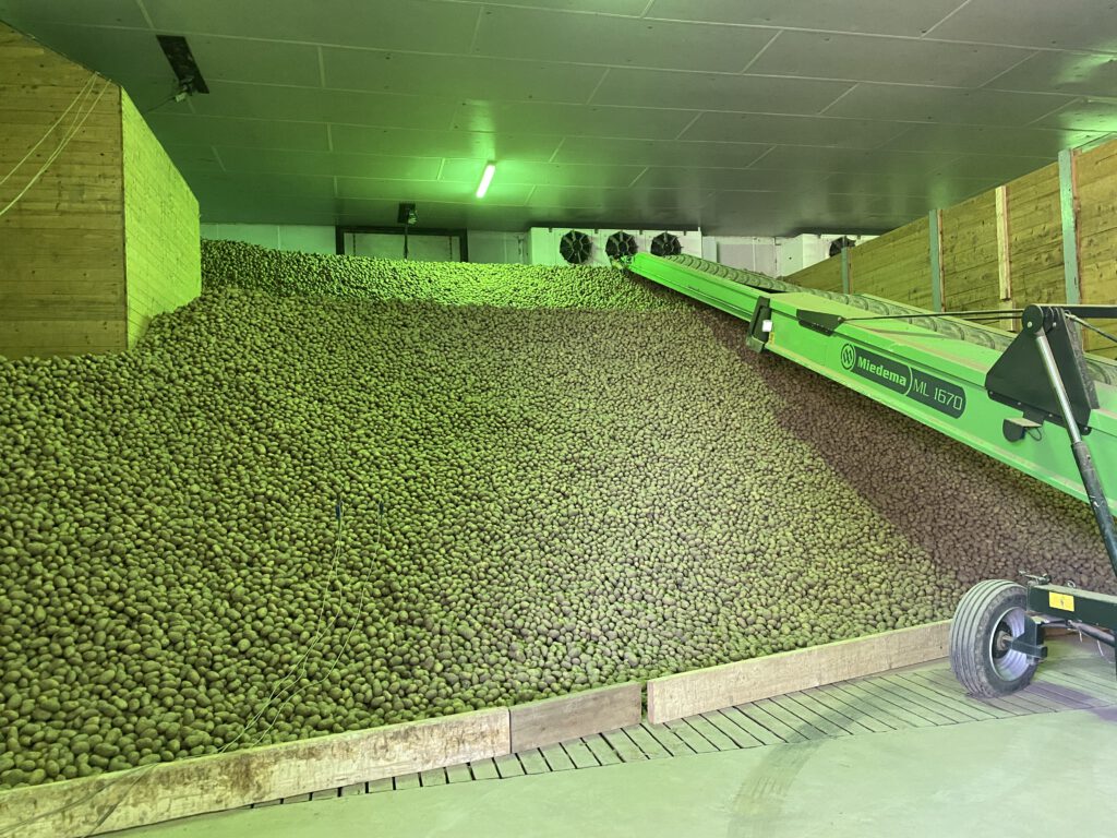 Wo kommen unsere Kartoffeln her? Gute Kartoffelernte in Bayern 13 Kartoffelernte Traktortour EssenAusBayern RomyHof